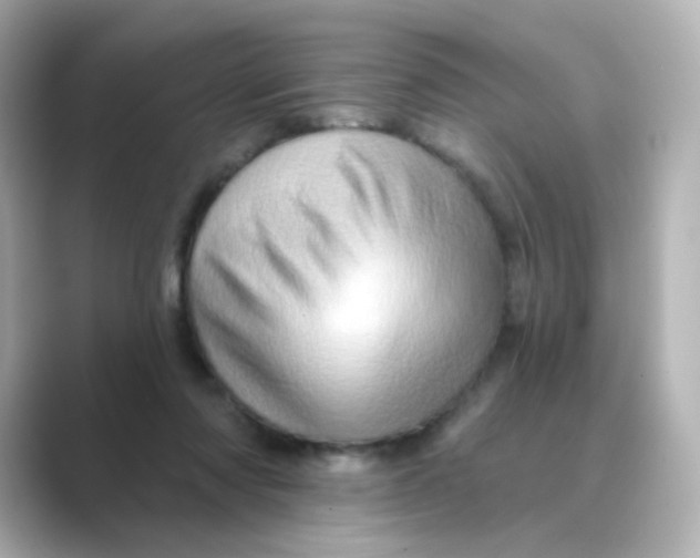 X0000088670310200706211856