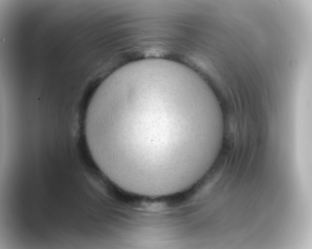 X0000088670311200706211856