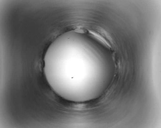 X0000088670313200706211856