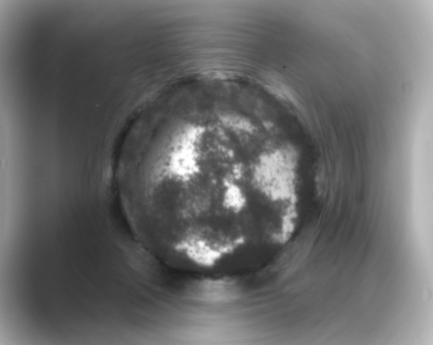 X0000088670314200706211856