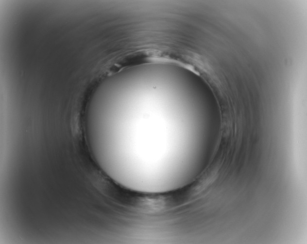 X0000088670317200706211856