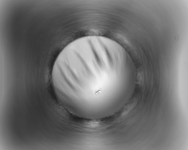 X0000088670318200706211856