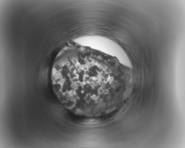 X0000088670319200706211856