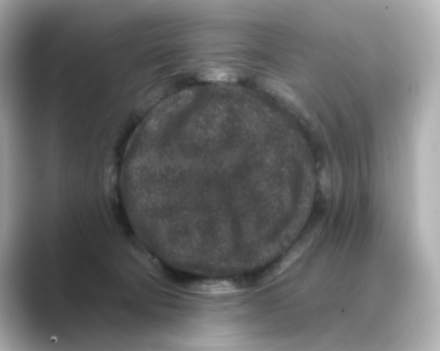 X0000088670322200706211855
