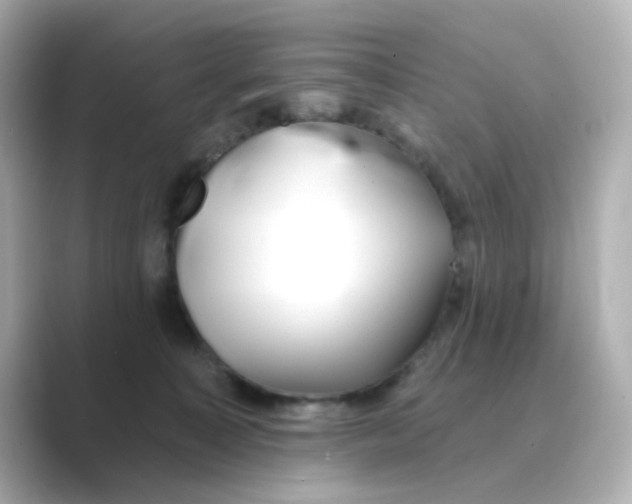 X0000088670323200706211855