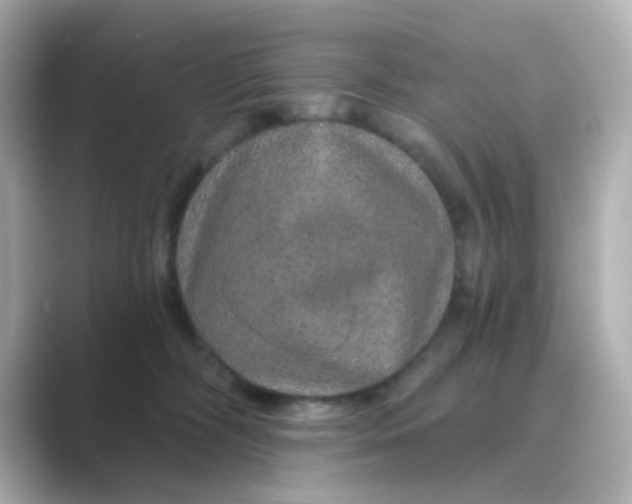 X0000088670326200706211855