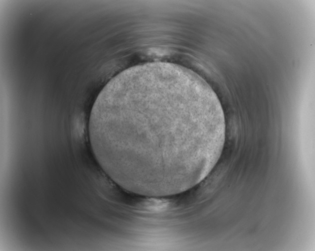 X0000088670328200706211855