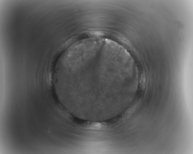 X0000088670330200706211855