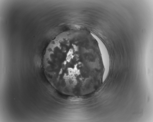 X0000088670331200706211855