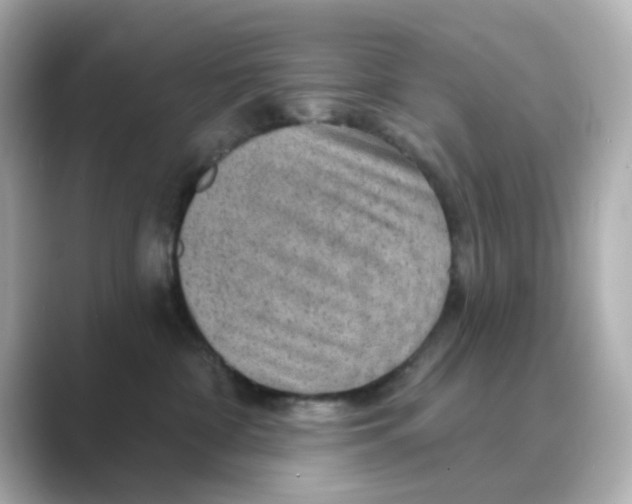 X0000088670332200706211855