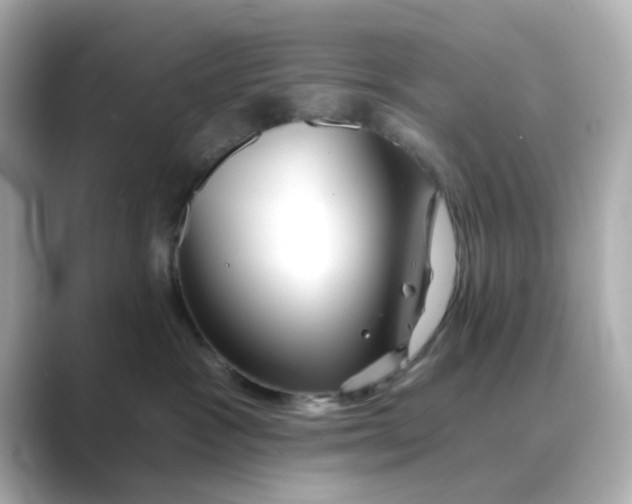 X0000088670333200706211855