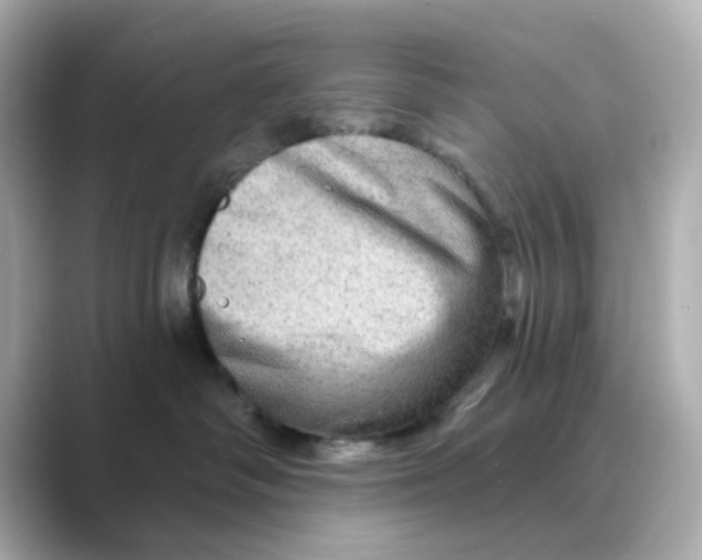 X0000088670334200706211855