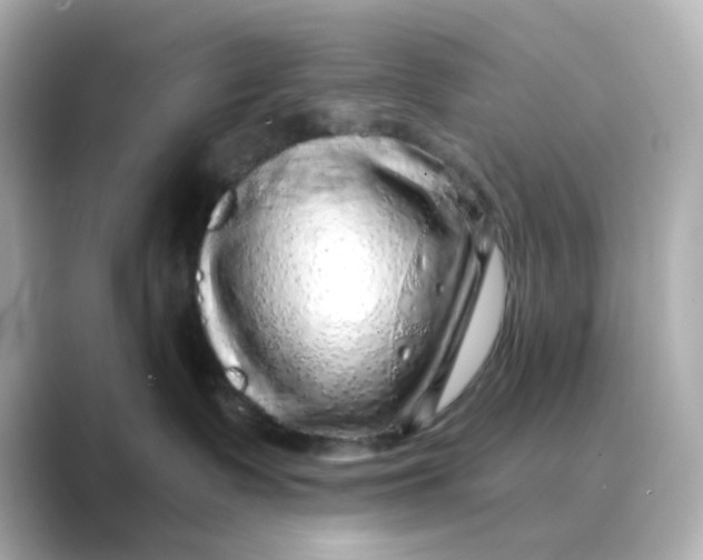 X0000088670335200706211855