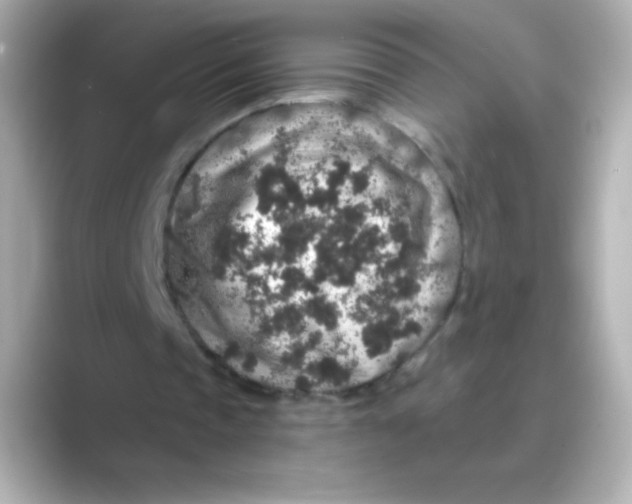 X0000088670337200706211855