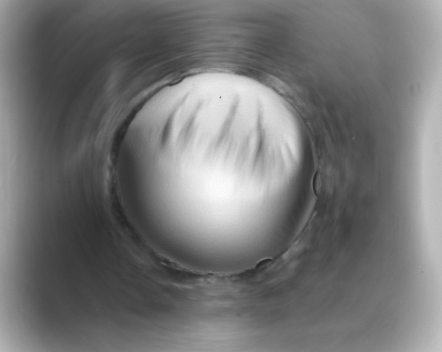 X0000088670338200706211855