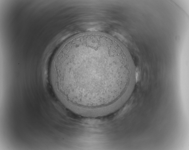X0000088670339200706211855