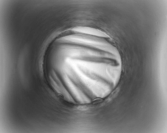 X0000088670341200706211855