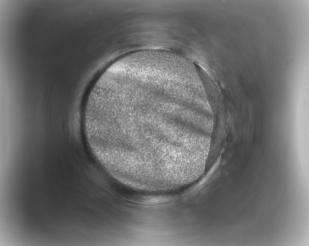 X0000088670342200706211855