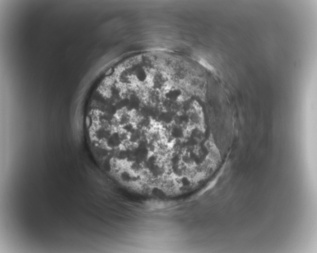 X0000088670343200706211855