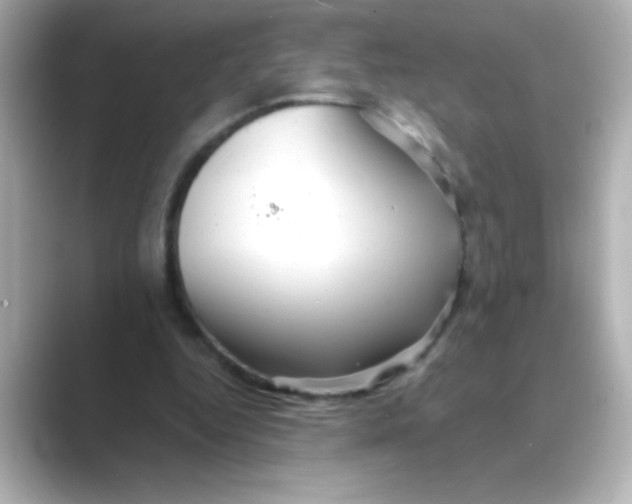 X0000088670344200706211855