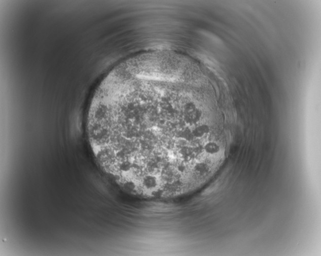 X0000088670347200706211855