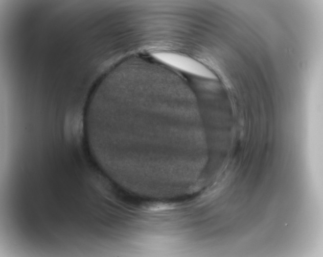X0000088670348200706211855