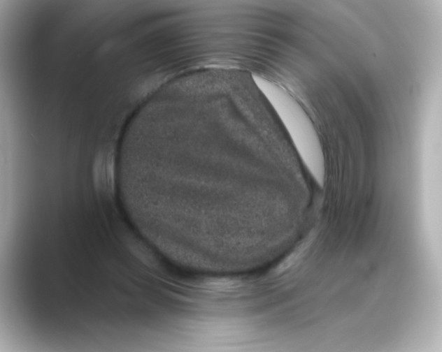 X0000088670349200706211855