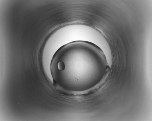 X0000088670350200706211855