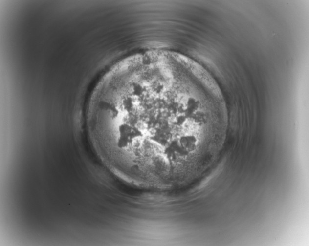 X0000088670351200706211855