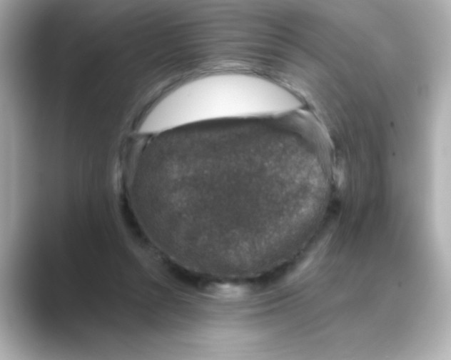 X0000088670352200706211855