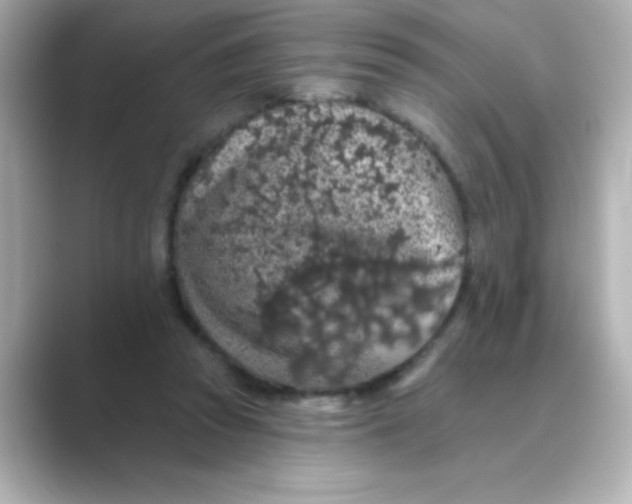 X0000088670353200706211855
