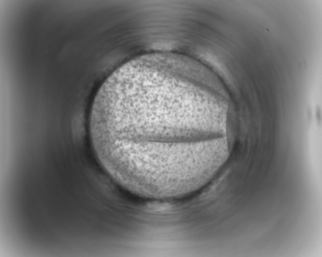 X0000088670354200706211855
