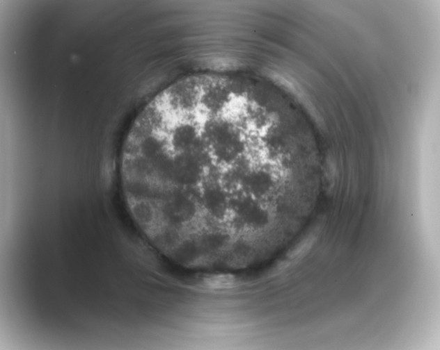 X0000088670355200706211855