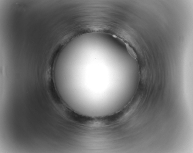 X0000088670356200706211855