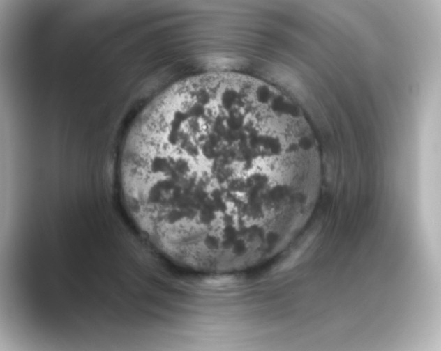 X0000088670357200706211855