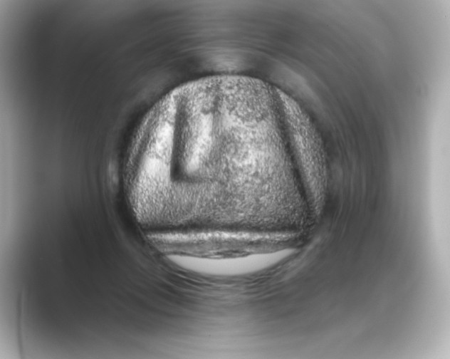 X0000088670358200706211855