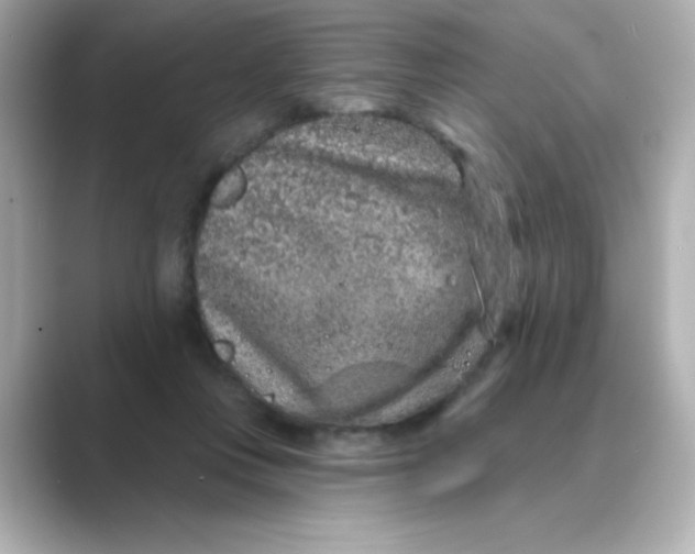 X0000088670359200706211855
