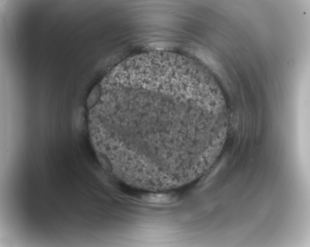 X0000088670361200706211855