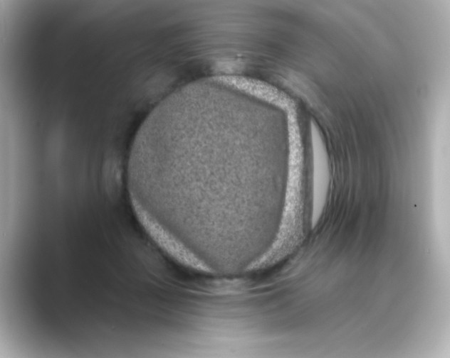 X0000088670363200706211855
