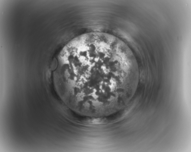 X0000088670365200706211855