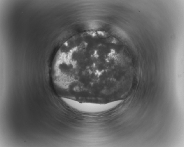 X0000088670366200706211855