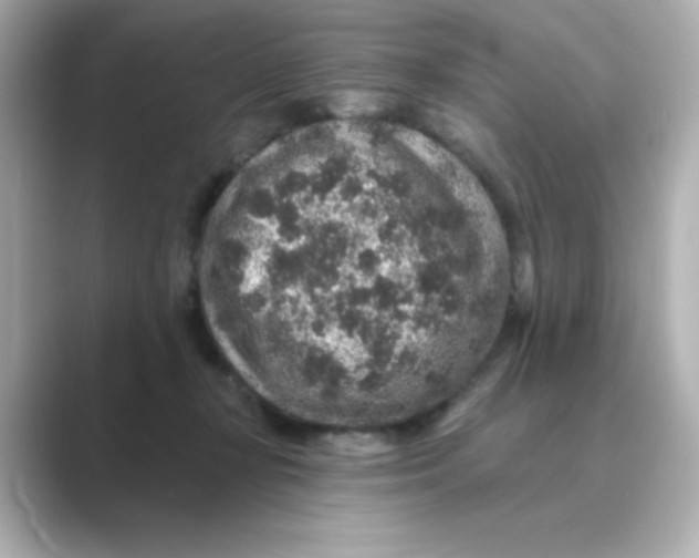 X0000088670367200706211855
