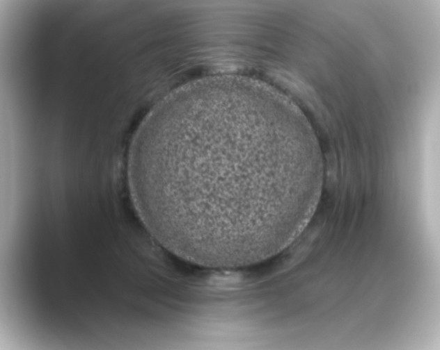 X0000088670369200706211855