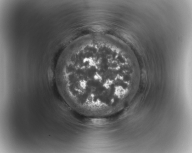 X0000088670371200706211855