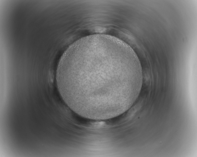 X0000088670374200706211855