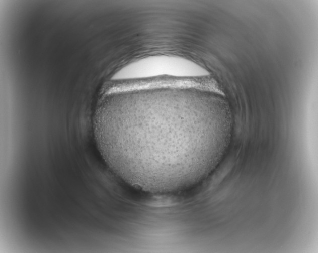 X0000088670376200706211855