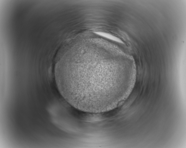 X0000088670377200706211855