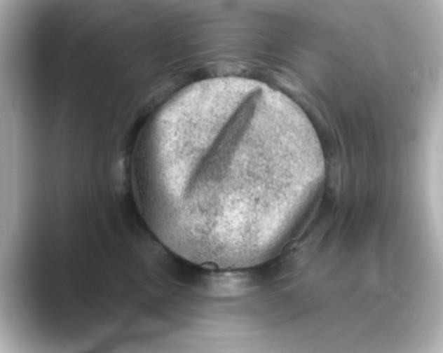 X0000088670378200706211855