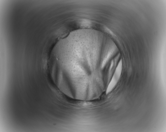 X0000088670379200706211855