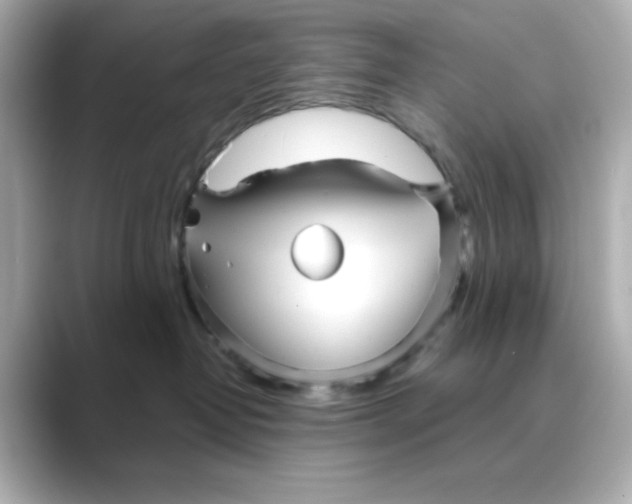 X0000088670382200706211855